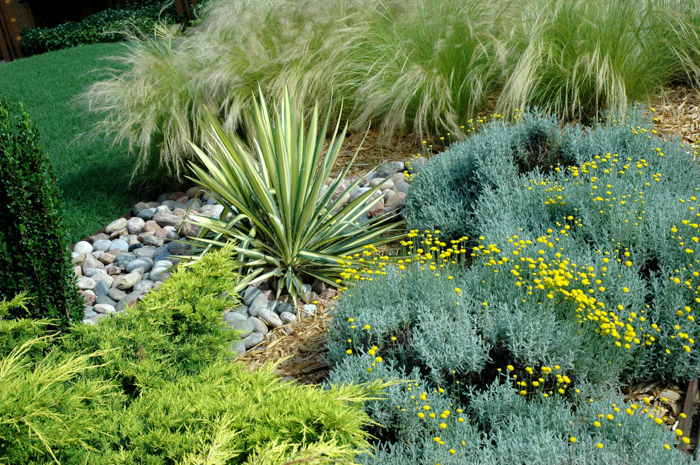 Стильный дизайн: солнечный, весенний засухоустойчивый сад среднего размера на переднем дворе в стиле фьюжн с хорошей освещенностью и садовой дорожкой или калиткой - последний тренд