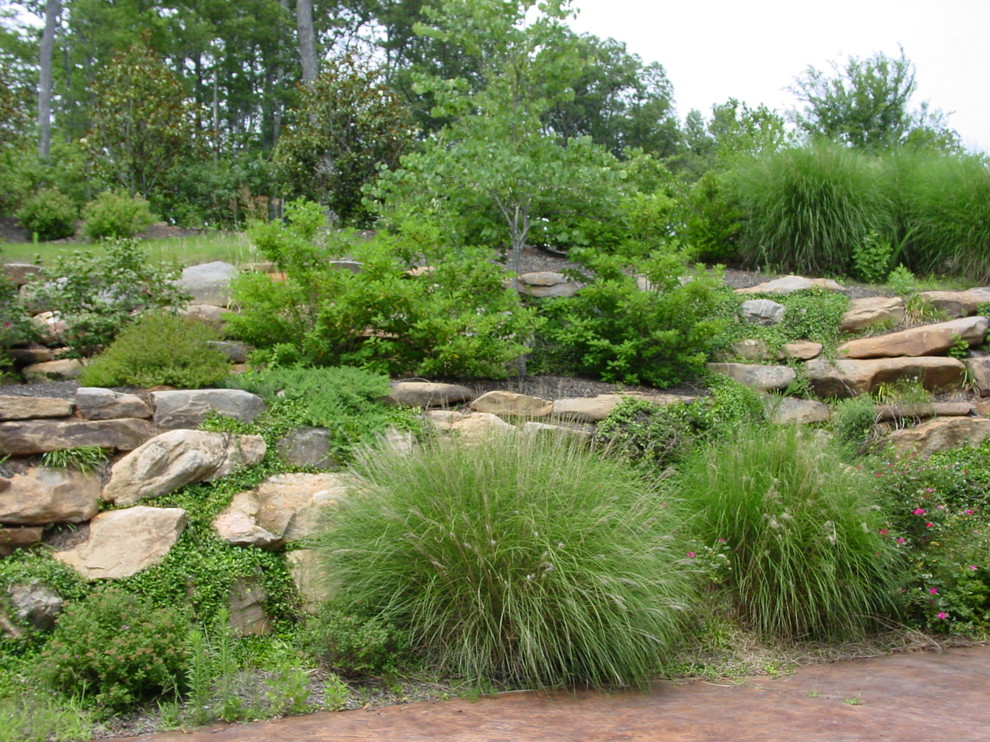 Cette image montre un jardin traditionnel avec une pente, une colline ou un talus.