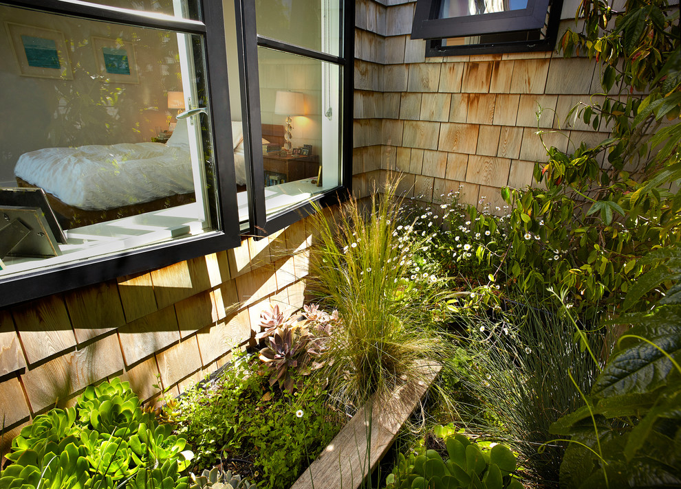 Immagine di un giardino xeriscape minimal sul tetto e di medie dimensioni con un giardino in vaso