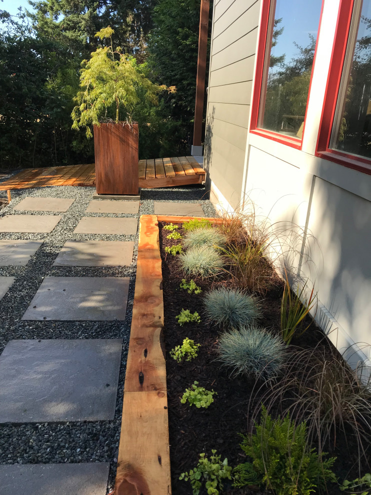 Kleiner, Schattiger Moderner Garten im Herbst, neben dem Haus mit Gehweg und Betonboden in Seattle