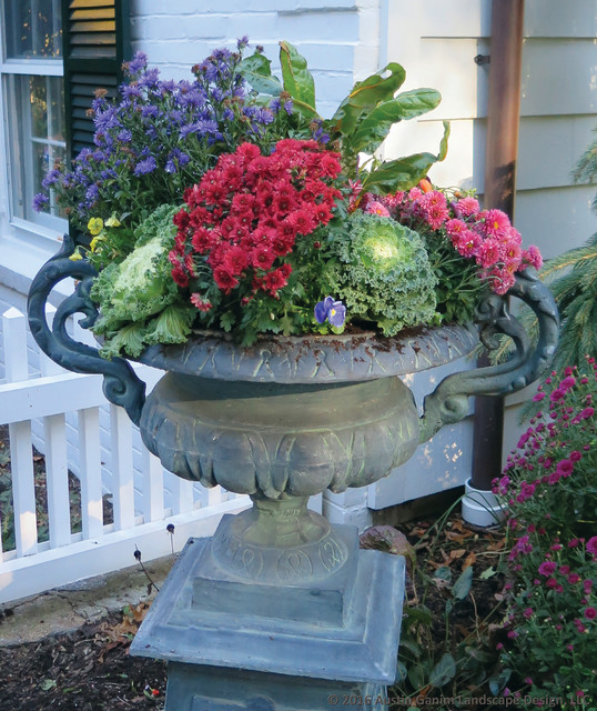 Planter & Container Garden Design Fairfield County, CT Traditional