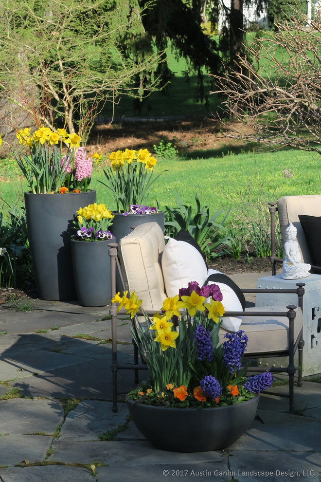 Пример оригинального дизайна: весенний участок и сад на боковом дворе в стиле кантри с растениями в контейнерах и полуденной тенью