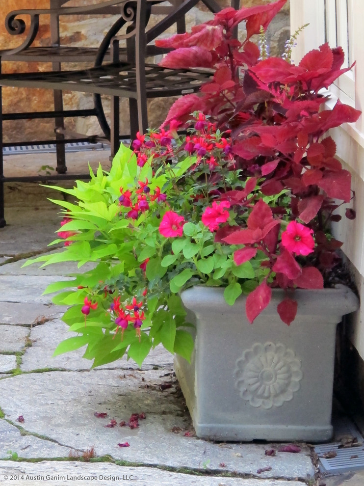 Photo of a traditional back partial sun garden for summer in New York with a potted garden.