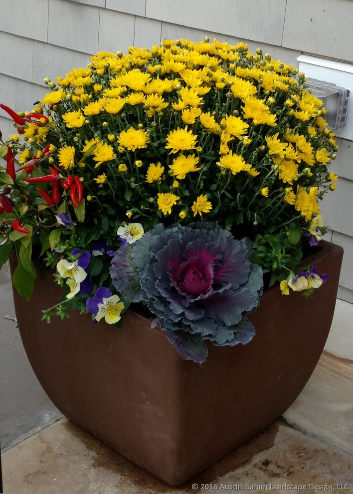 Planter & Container Garden Design - Fairfield County, CT - Traditional