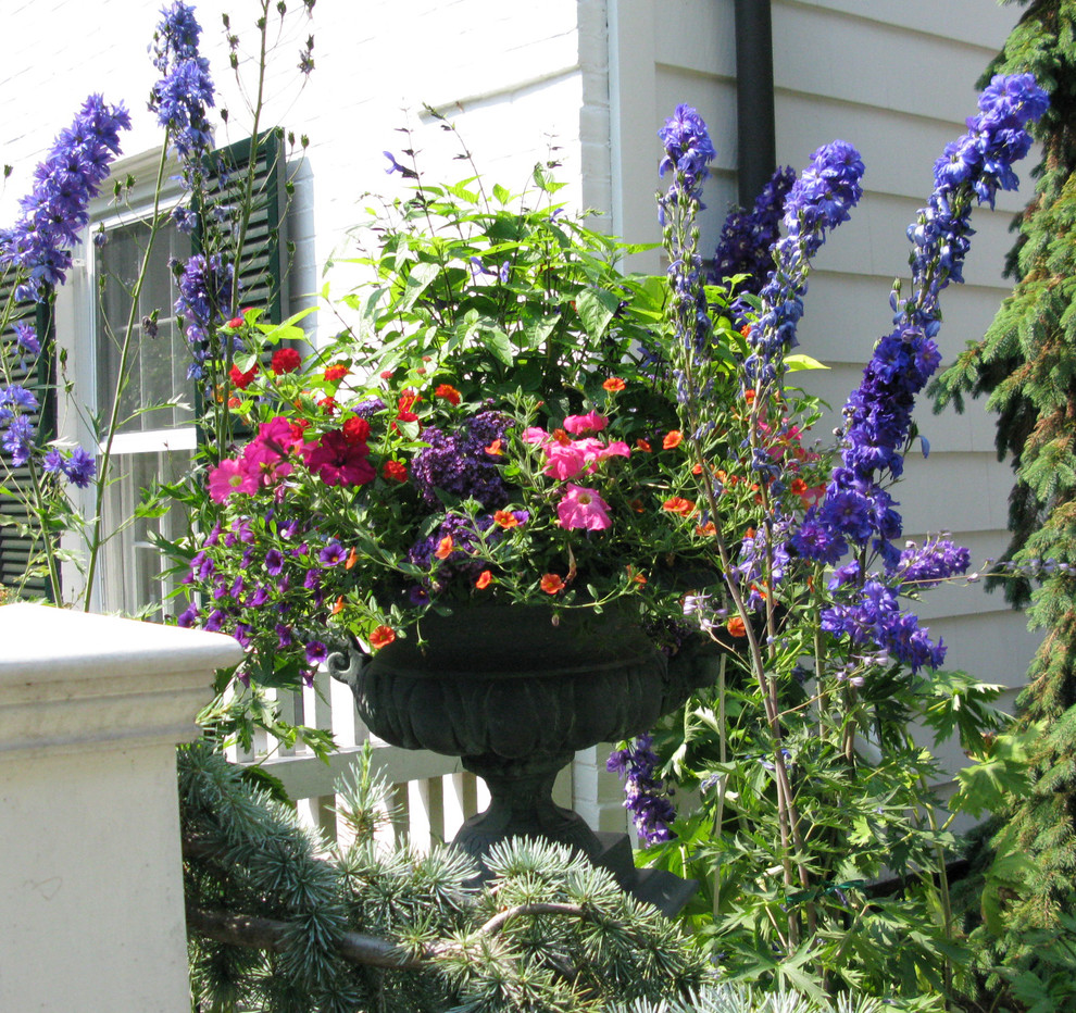 Foto di un giardino tradizionale esposto in pieno sole in estate con un giardino in vaso