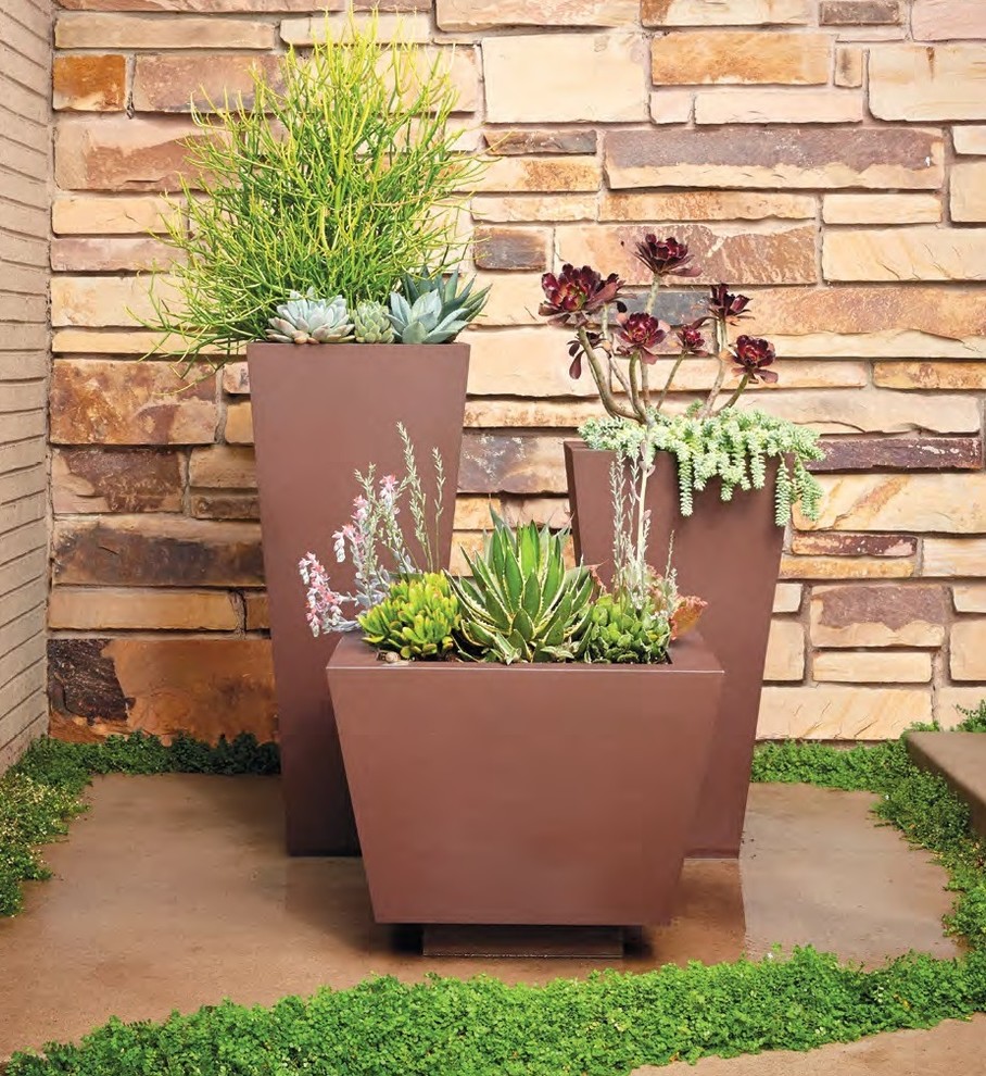 Immagine di un giardino minimal esposto in pieno sole di medie dimensioni con un giardino in vaso e pavimentazioni in pietra naturale