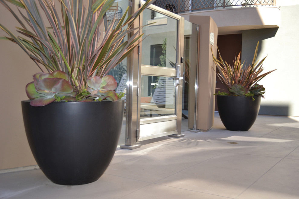 Idee per un giardino formale minimal esposto a mezz'ombra di medie dimensioni e davanti casa in autunno con un giardino in vaso e pavimentazioni in cemento