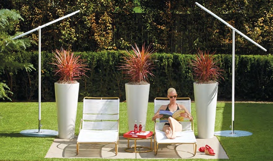 Esempio di un giardino minimal esposto in pieno sole di medie dimensioni con un giardino in vaso e pavimentazioni in cemento