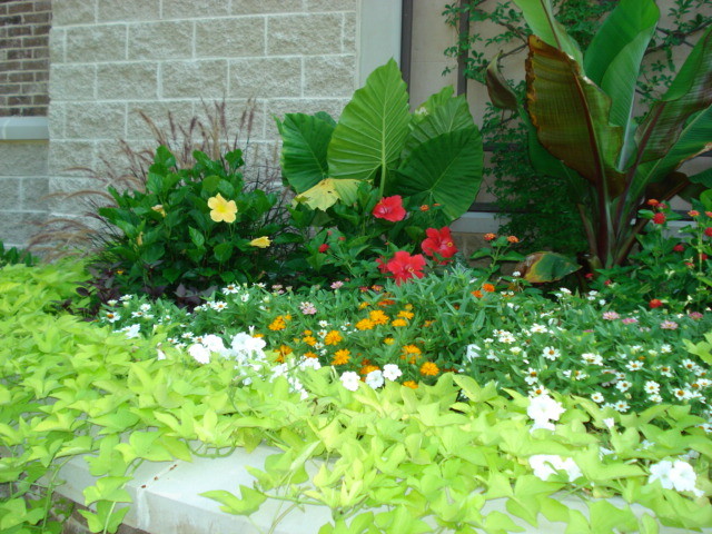 Modelo de jardín clásico pequeño en verano en patio delantero con jardín de macetas, exposición total al sol y mantillo