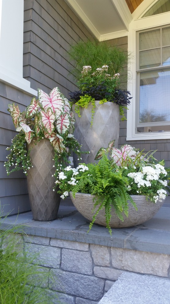 Design ideas for a mid-sized traditional front yard concrete paver landscaping in Portland Maine.