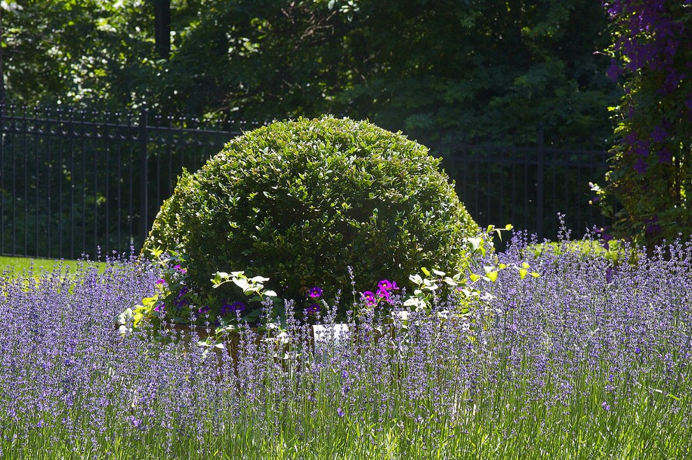 Aménagement d'un jardin contemporain.