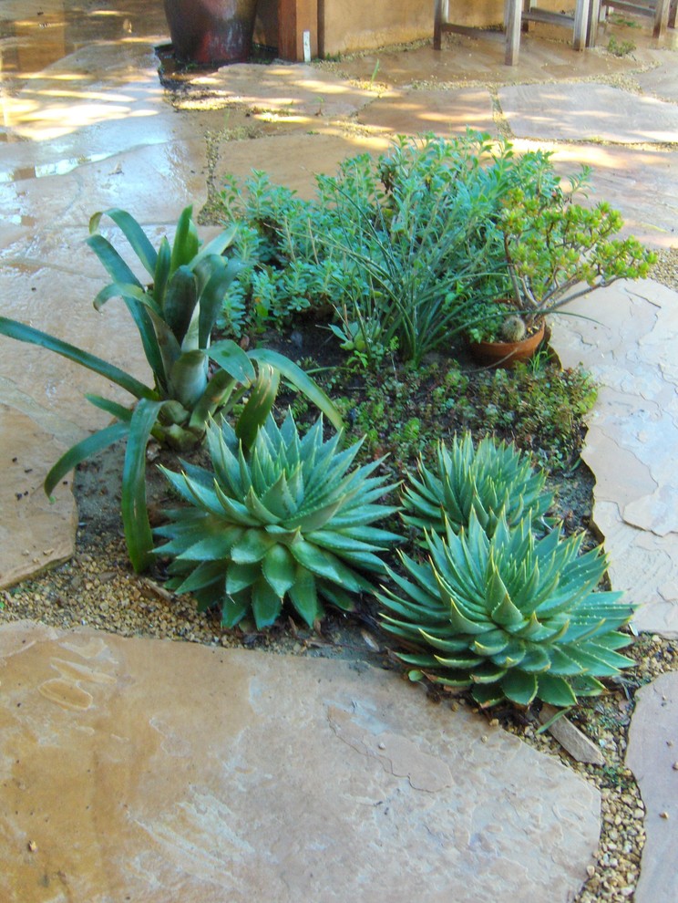 Imagen de camino de jardín mediterráneo de tamaño medio en verano en patio trasero con adoquines de piedra natural y exposición parcial al sol