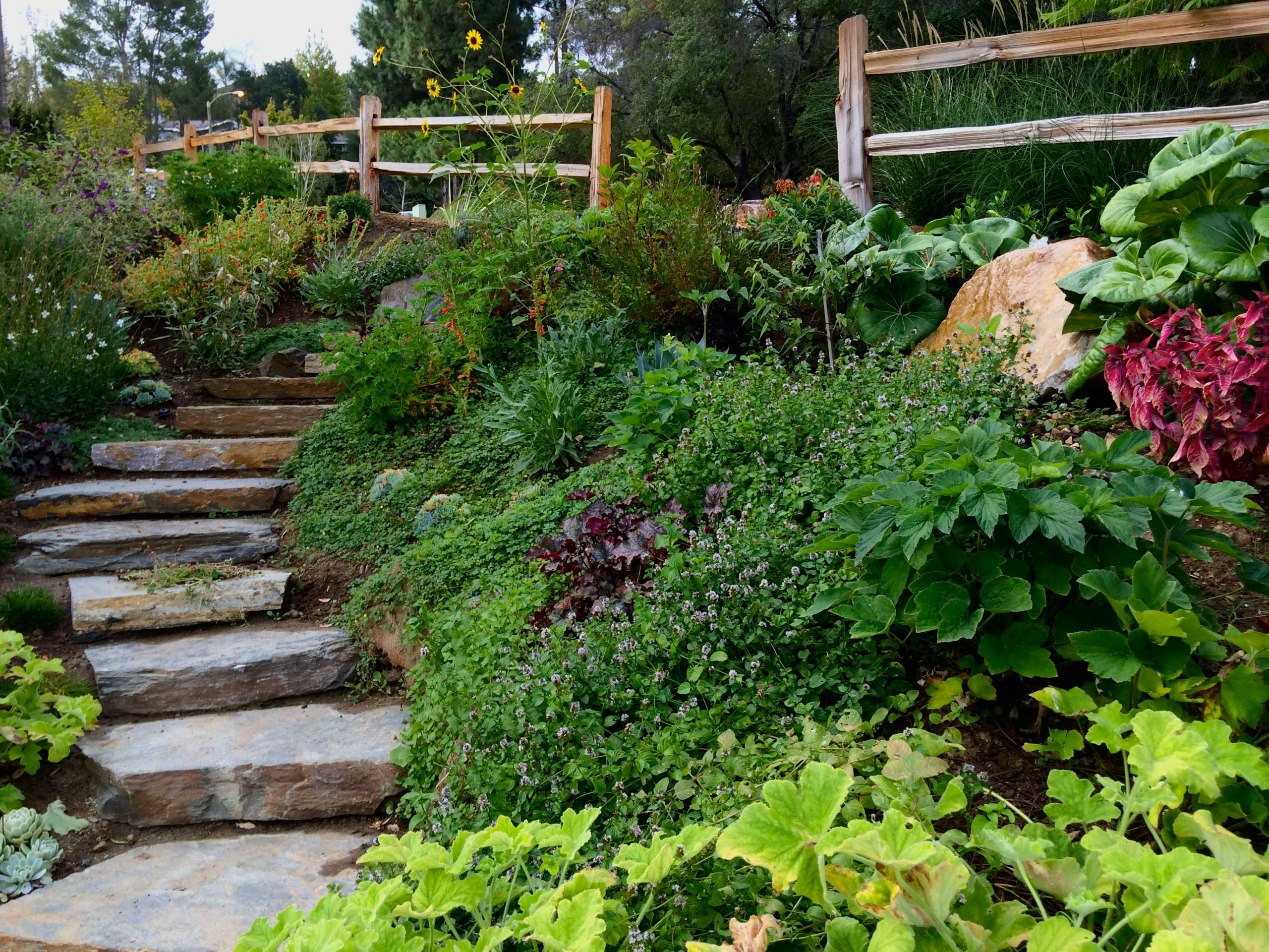 Landscaping Ideas For Slopes In Front Yard : Backyard Slope Landscaping