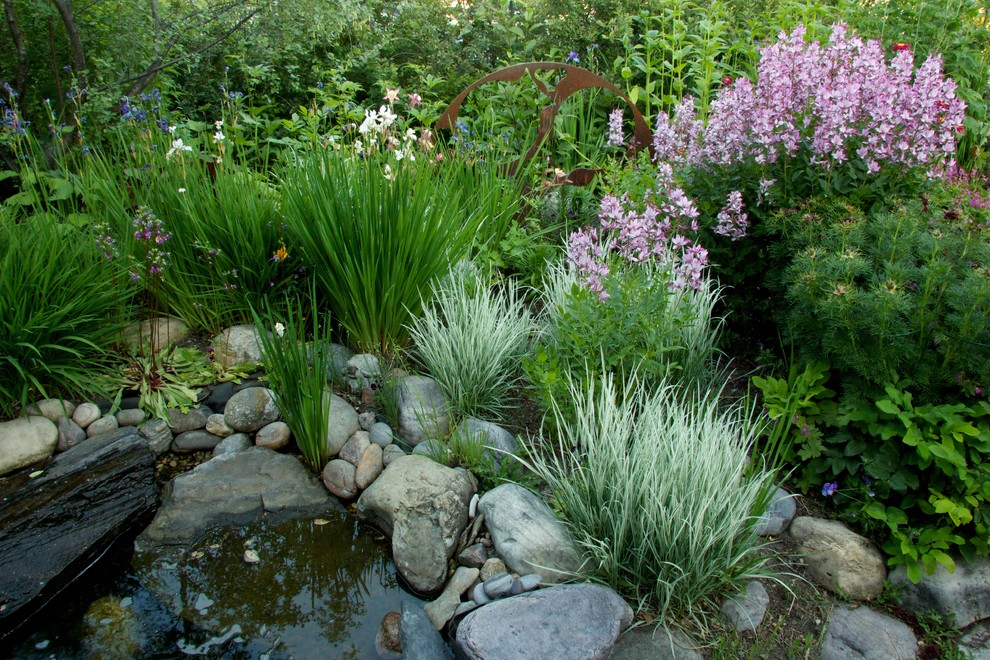 Planting Contemporary Landscape Calgary by User Houzz