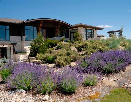 Inspiration for a contemporary landscaping in Calgary.