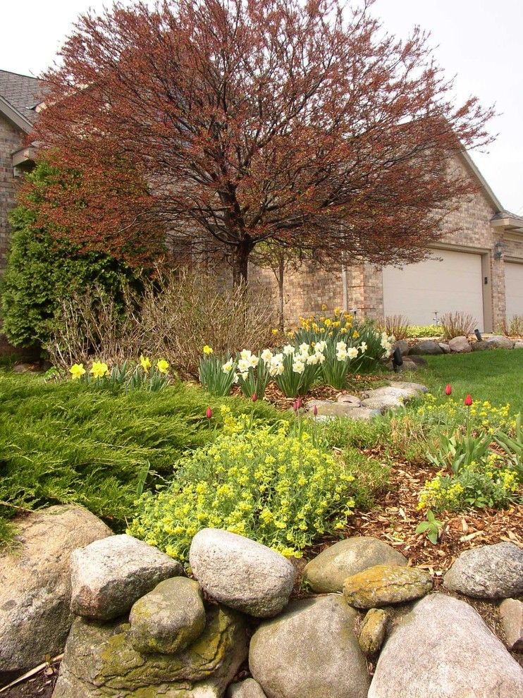 Photo of a traditional front yard landscaping in Other.