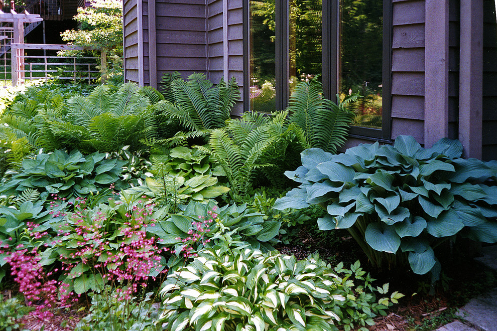 Foto di un giardino contemporaneo di medie dimensioni e davanti casa in autunno
