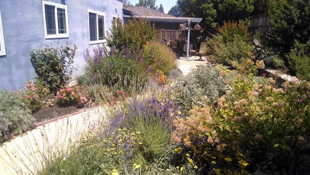 Kleiner Mediterraner Gartenweg hinter dem Haus mit direkter Sonneneinstrahlung und Mulch in San Francisco