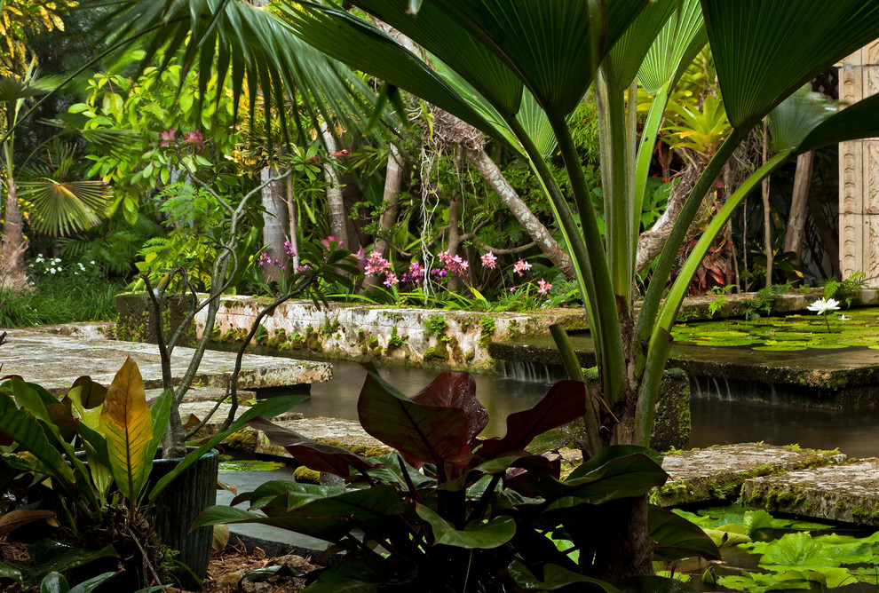Aménagement d'un petit jardin sur cour exotique avec un point d'eau, une exposition partiellement ombragée et des pavés en pierre naturelle.