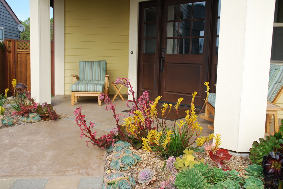 Ejemplo de camino de jardín de estilo americano de tamaño medio en patio delantero con jardín francés, exposición total al sol y mantillo