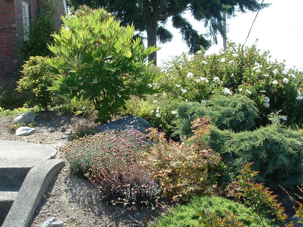 Immagine di un giardino xeriscape minimal esposto in pieno sole di medie dimensioni e davanti casa in inverno con un ingresso o sentiero e pacciame