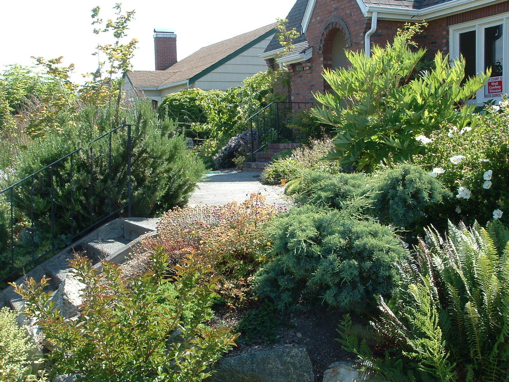 Esempio di un giardino xeriscape contemporaneo esposto in pieno sole di medie dimensioni e davanti casa in inverno con un ingresso o sentiero e pacciame