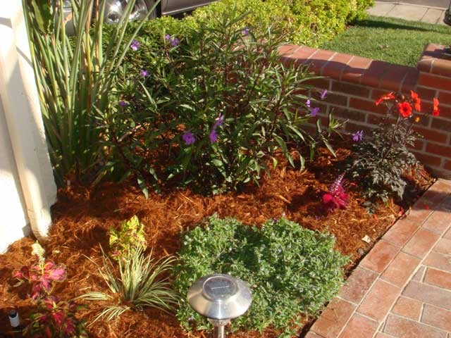 Photo of a small mediterranean front formal partial sun garden for spring in San Diego with a water feature and brick paving.