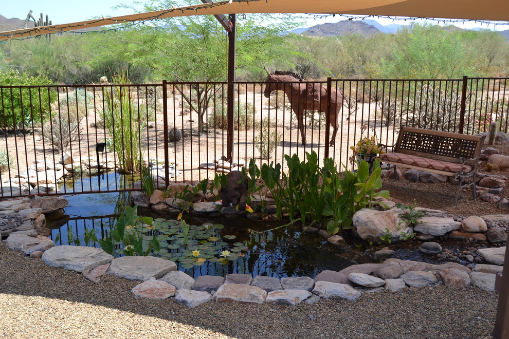 Photo of a large back full sun garden in Phoenix with a pond.