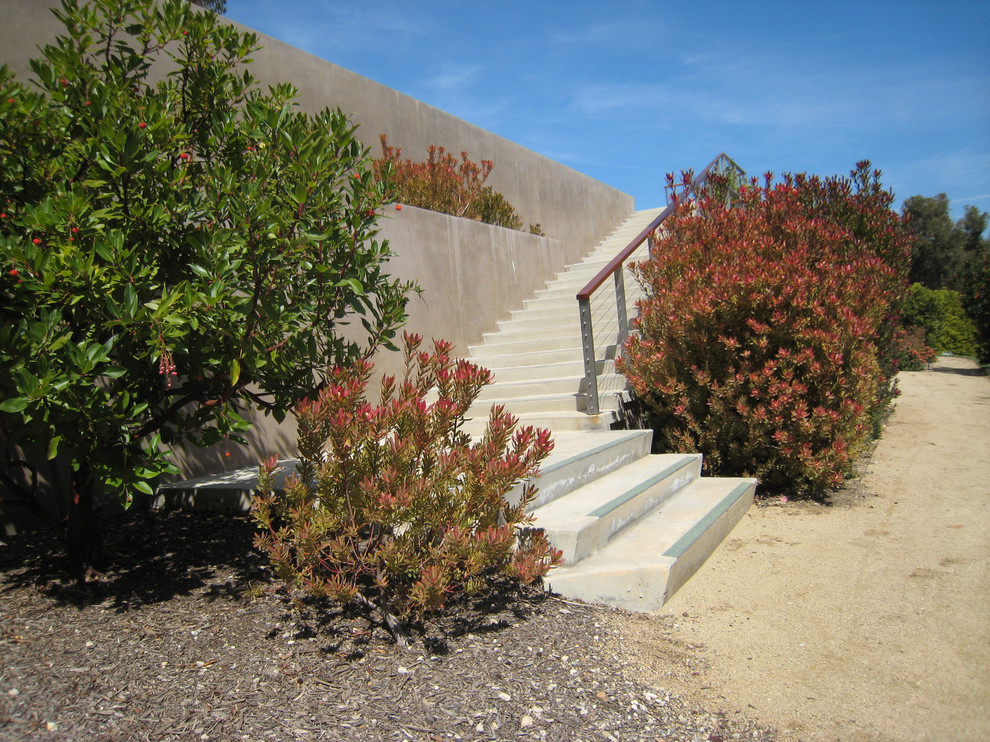 Immagine di un giardino minimalista esposto in pieno sole di medie dimensioni e dietro casa in estate con un muro di contenimento