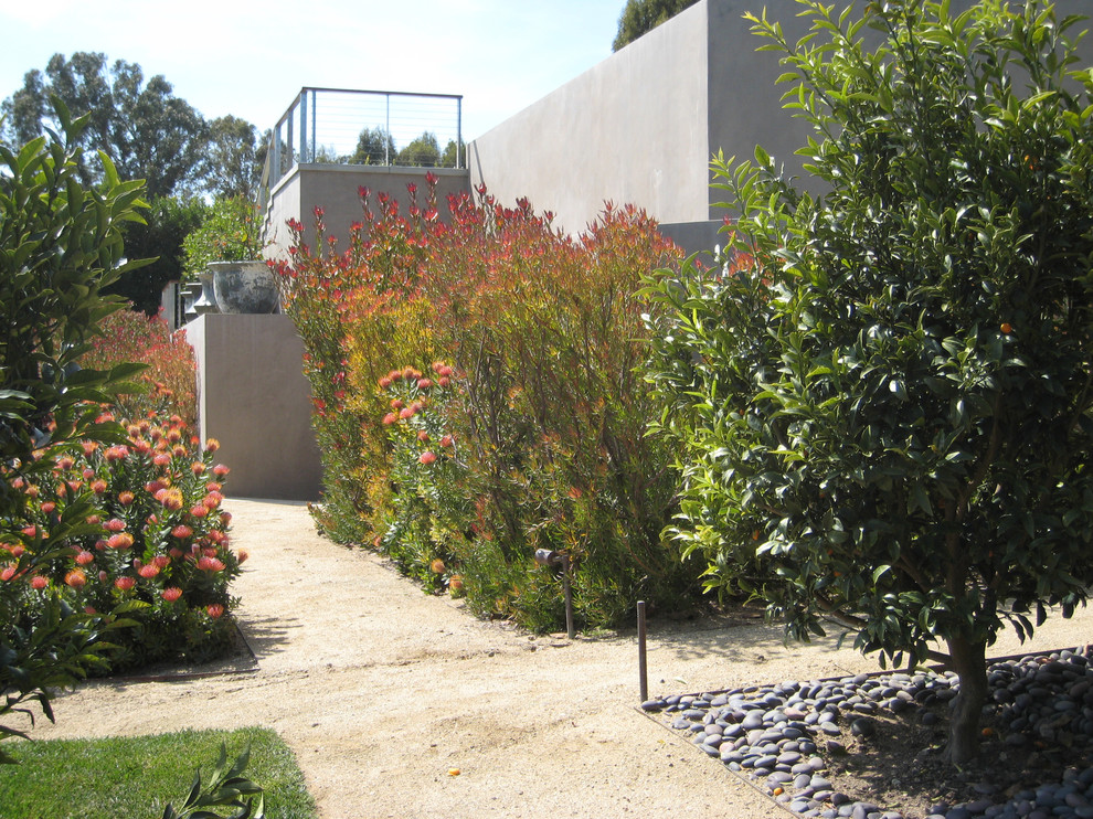 На фото: солнечный, летний участок и сад среднего размера на заднем дворе в стиле модернизм с хорошей освещенностью и покрытием из гравия