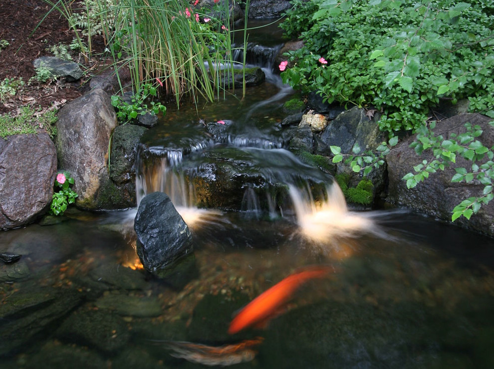Photo of a tropical landscaping in Chicago.