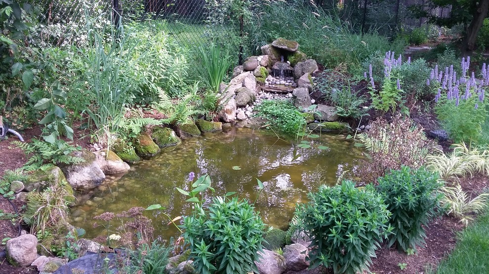 Pond & Rain-Garden For a Very Wet Toronto Property - Landscape ...