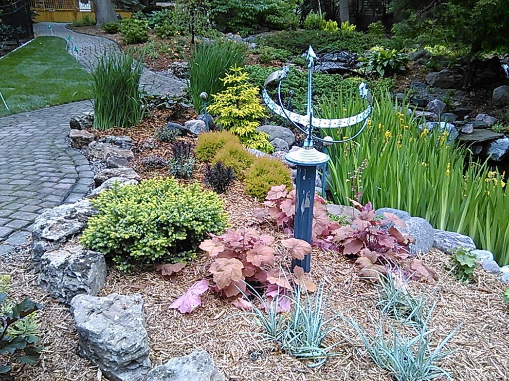 Esempio di un giardino xeriscape design in ombra di medie dimensioni in estate con fontane, un pendio, una collina o una riva e pacciame