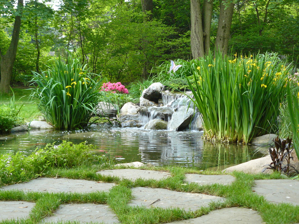 Eklektisk inredning av en trädgård, med en fontän