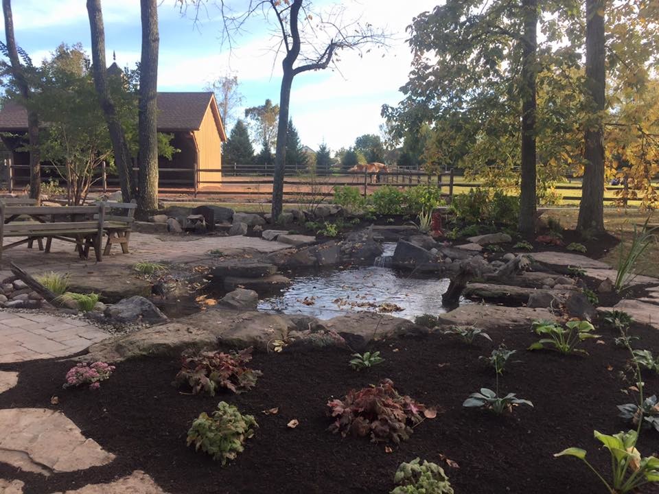 Réalisation d'un grand jardin avant champêtre avec un bassin, une exposition ombragée et des pavés en pierre naturelle.