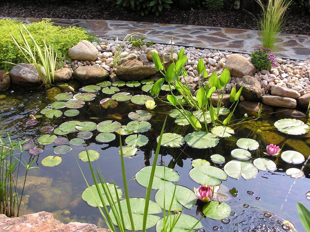 Imagen de jardín rural de tamaño medio en verano en patio trasero con estanque, exposición total al sol y adoquines de piedra natural