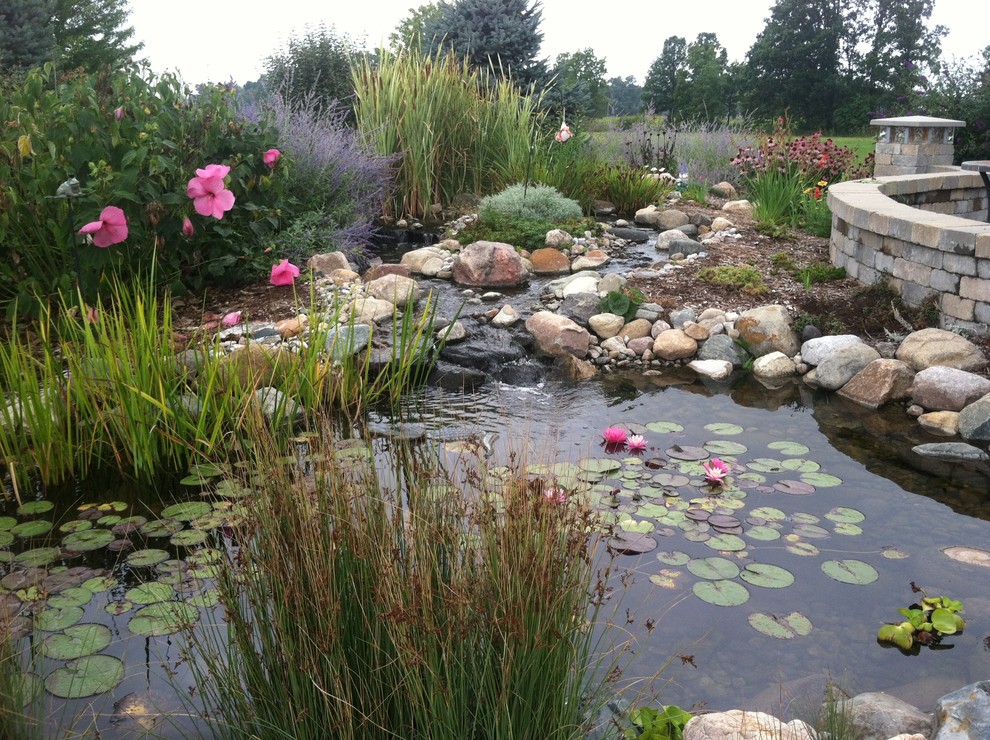 Pond with Natural Wetland Filtration System Modern Landscape