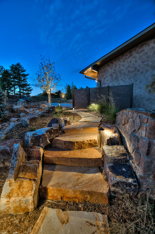 Design ideas for a large transitional drought-tolerant backyard landscaping in Denver.