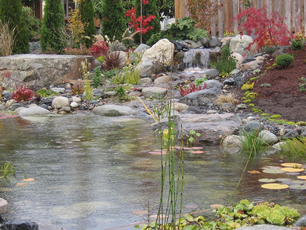 Immagine di un grande laghetto da giardino vittoriano esposto in pieno sole dietro casa con pacciame