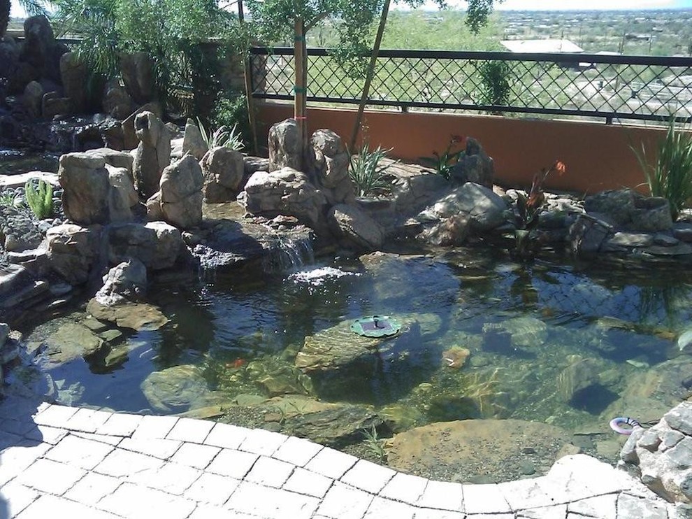 Ponds and Koi Ponds Jardin Phoenix par Inventive Outdoors