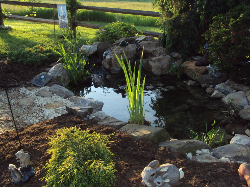 Idée de décoration pour un petit jardin arrière design avec une exposition partiellement ombragée, un paillis et un bassin.