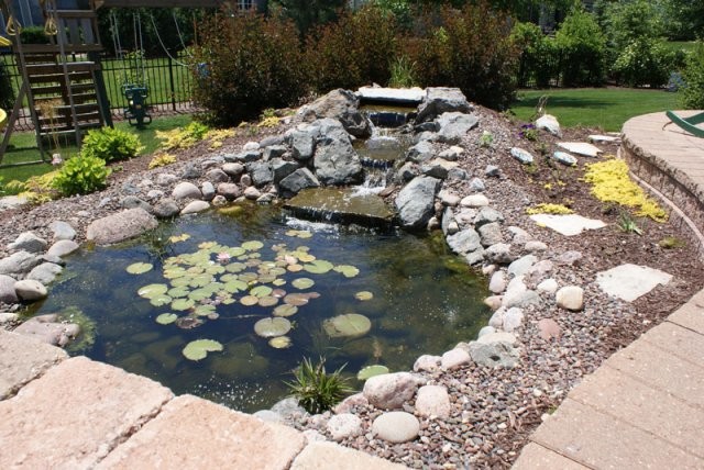 Photo of a medium sized traditional back formal full sun garden for spring in Chicago with natural stone paving and a pond.