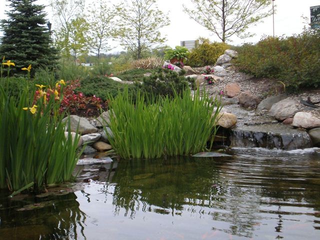Bild på en vintage trädgård, med en fontän och naturstensplattor