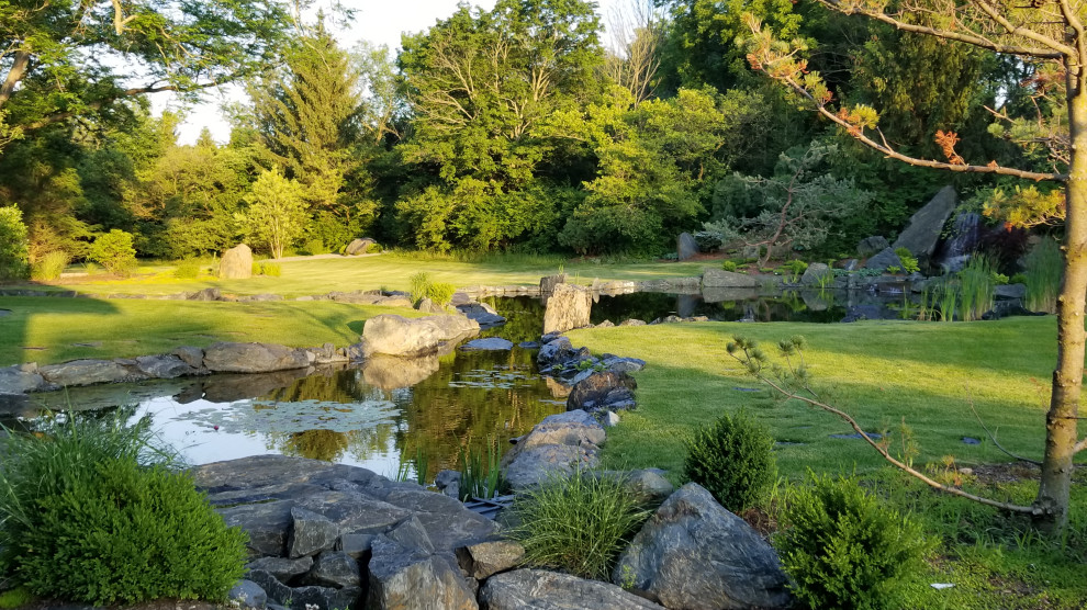 Immagine di un ampio giardino formale contemporaneo esposto in pieno sole dietro casa in estate con una cascata e sassi di fiume