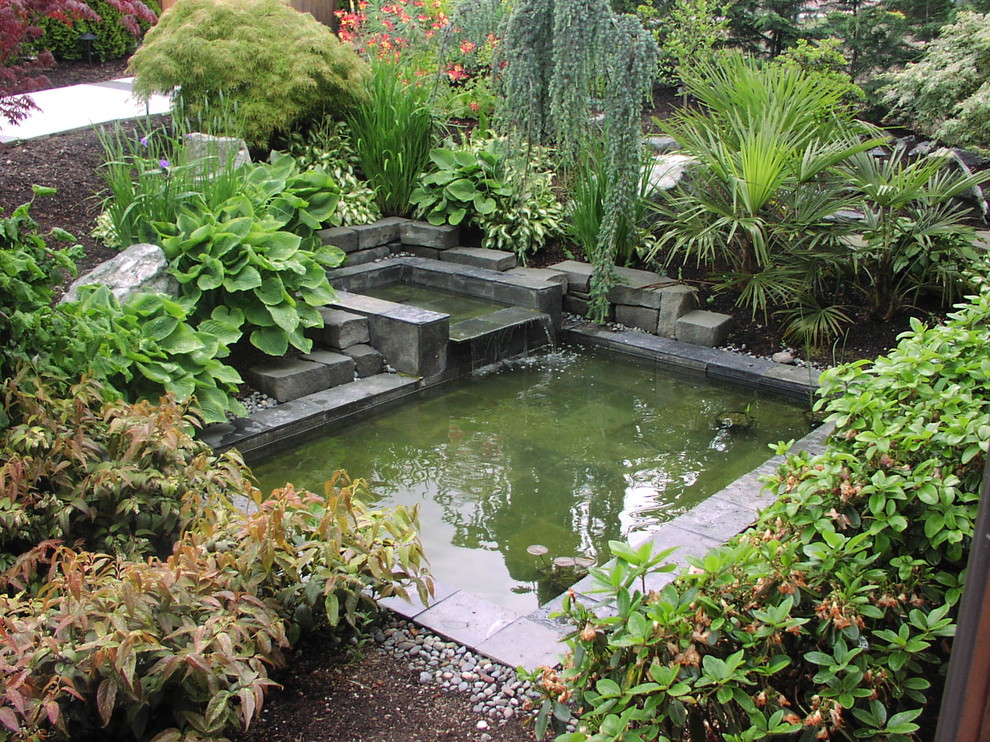 Immagine di un grande laghetto da giardino moderno esposto in pieno sole dietro casa con pavimentazioni in pietra naturale
