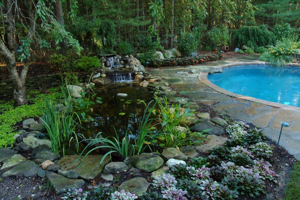 Idee per un giardino tropicale esposto in pieno sole in estate con un pendio, una collina o una riva e pavimentazioni in pietra naturale