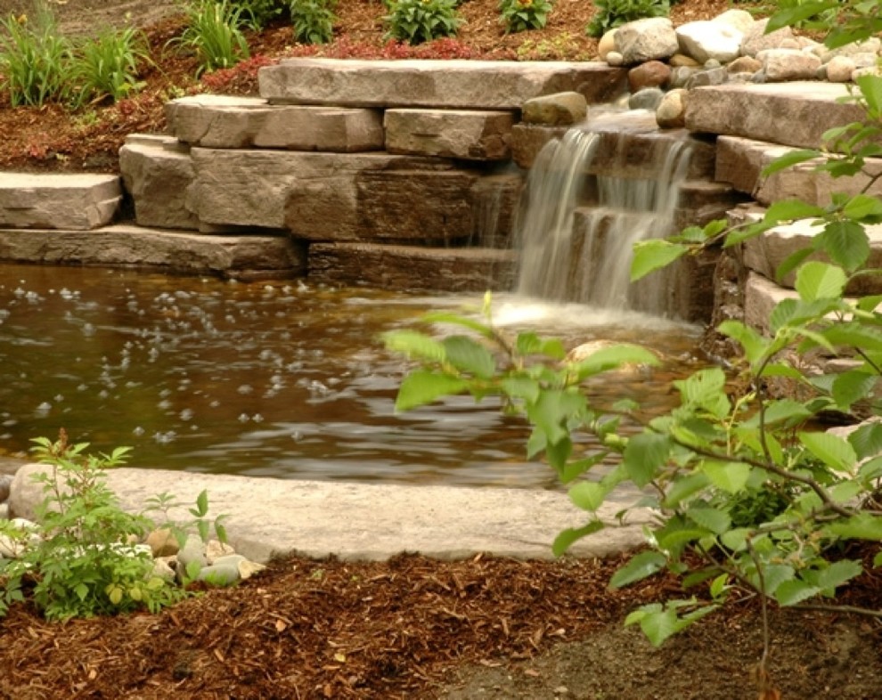 Design ideas for a tropical drought-tolerant and full sun front yard stone pond in New York for summer.