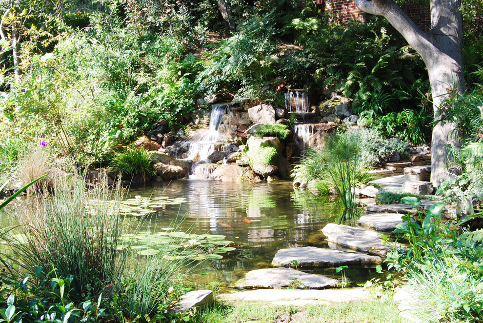 Ponds and Waterfalls Water Features Los Angeles - Tropical - Landscape ...