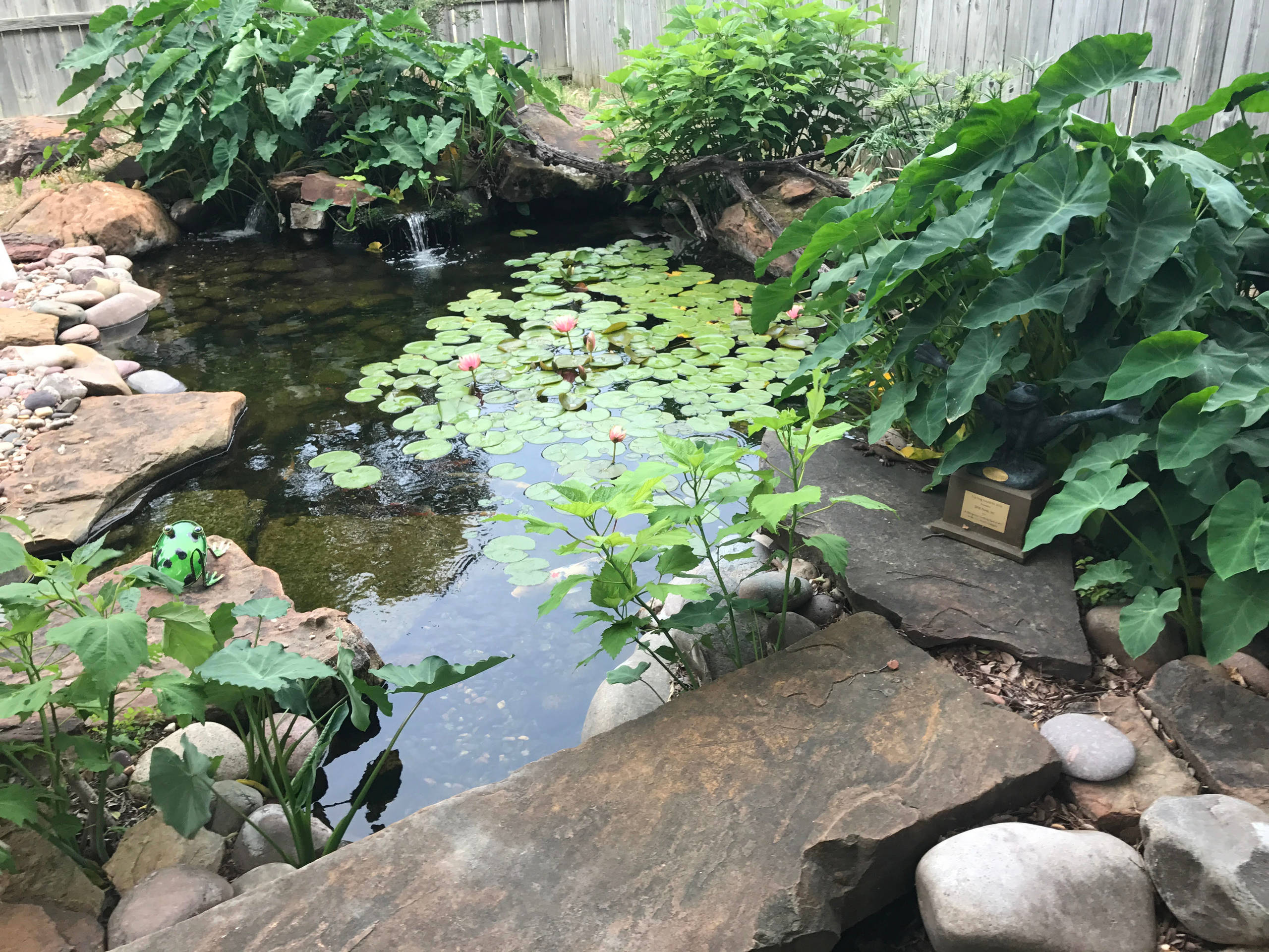 75 Asian Pond Ideas You'll Love - October, 2022 | Houzz