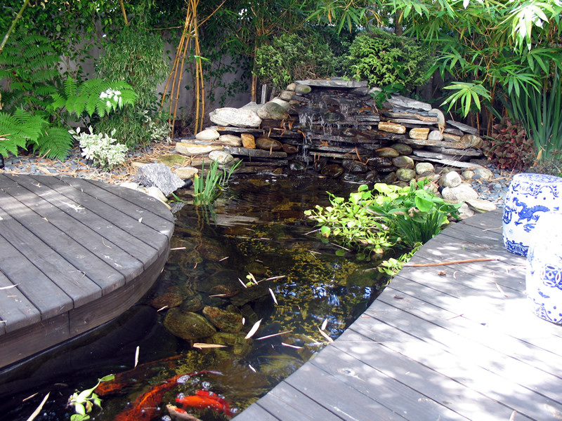 Medium sized traditional back partial sun garden in Miami with a water feature and decking.